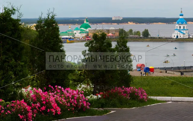 Цветы на весеннем заливе Илья Степанов — Чебоксары