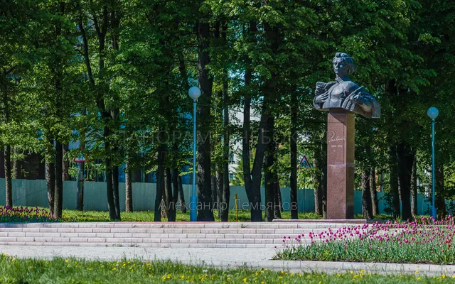 Бюст Михаила Сеспеля весна 2019