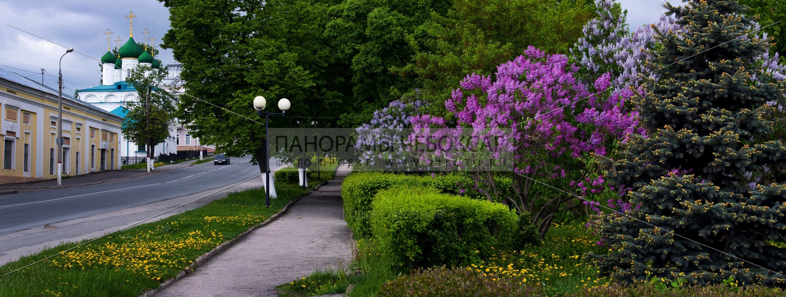Весеннее цветение — Улица Константина Иванова  — Чебоксары