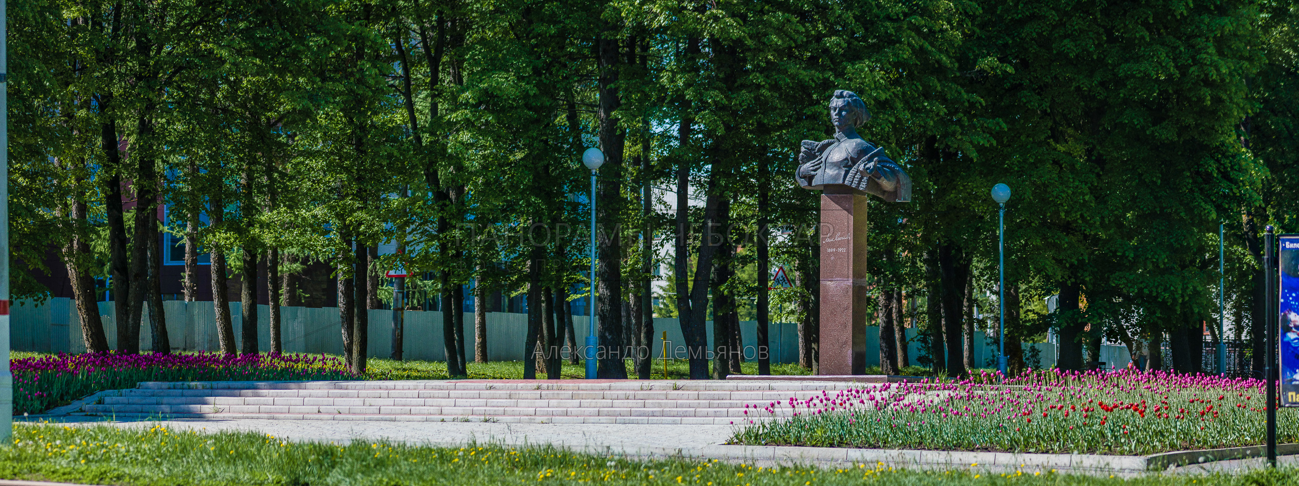 Бюст Михаила Сеспеля весна 2019